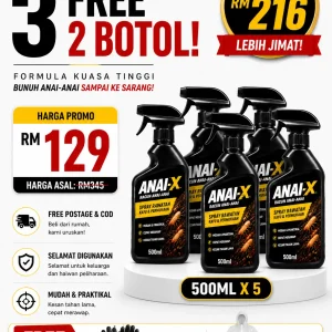 Pakej 3 Free 2 Anai X